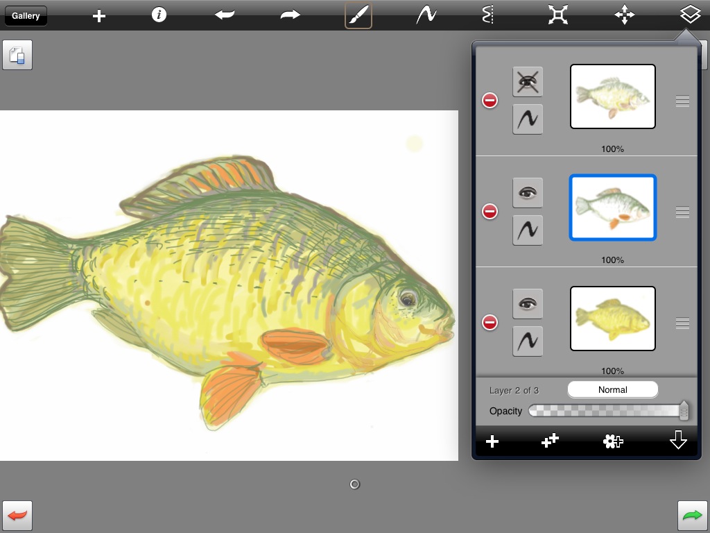 middle layer on my fish picture