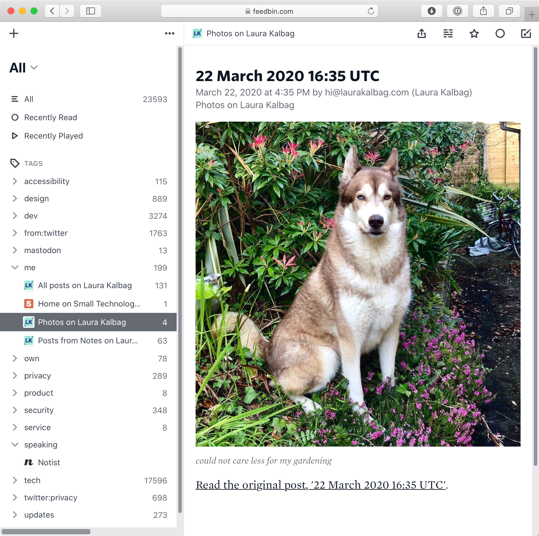 A photo of my dog in a flowerbed, displayed in the Feedbin interface in the browser.