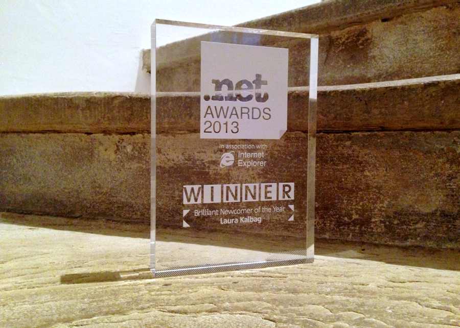 .net award 2013 Winner, Brilliant Newcomer