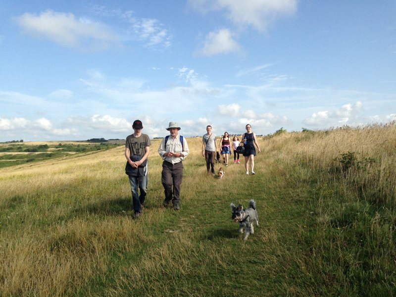 Six walkers and their dogs in Sheepcote Valley