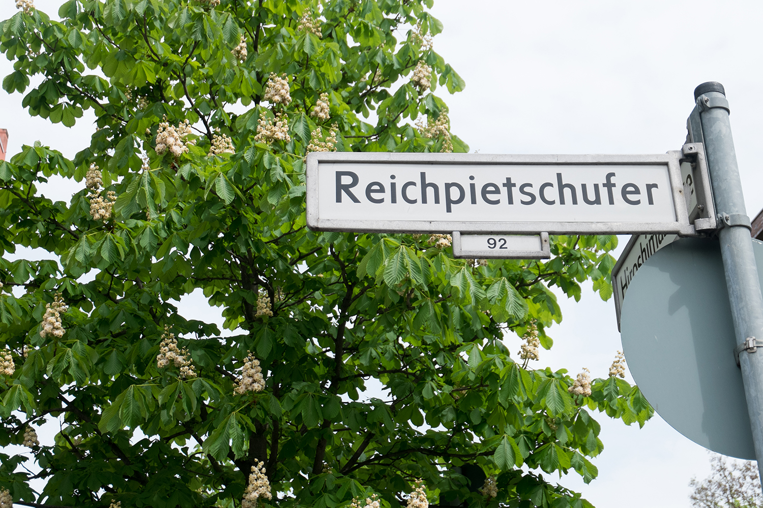 Street sign saying ‘Reichpietschufer’ in front of a chestnut tree