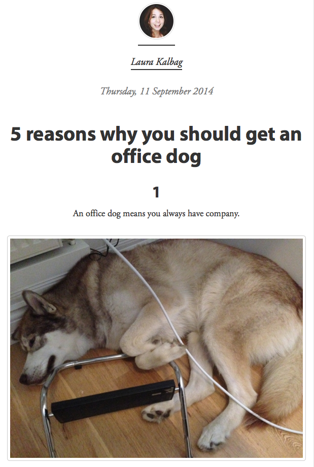 Thursday 11th September 2014 - 5 reasons why you should get an office dog