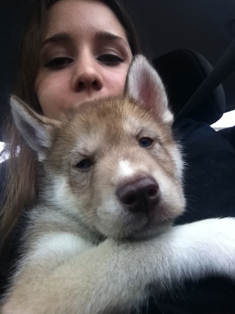 Bringing a baby Osky home in January