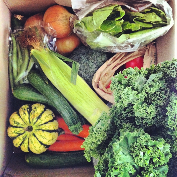 I began an obsession with vegetable boxes, buying a pot luck box every couple of weeks and trying to cook as many new healthy dishes as possible.