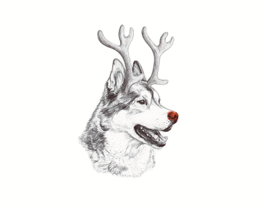 Ink drawing of Osky the red nose rein-dog with antlers.