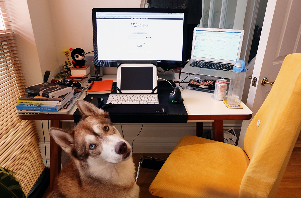 A messy desk with Apple Display, iPad, MacBook Pro, and dog