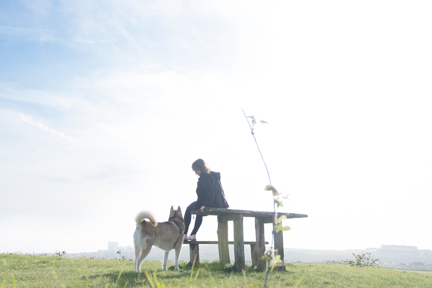 Me and Oskar the dog, sitting together on a bench on the horizon of a big park