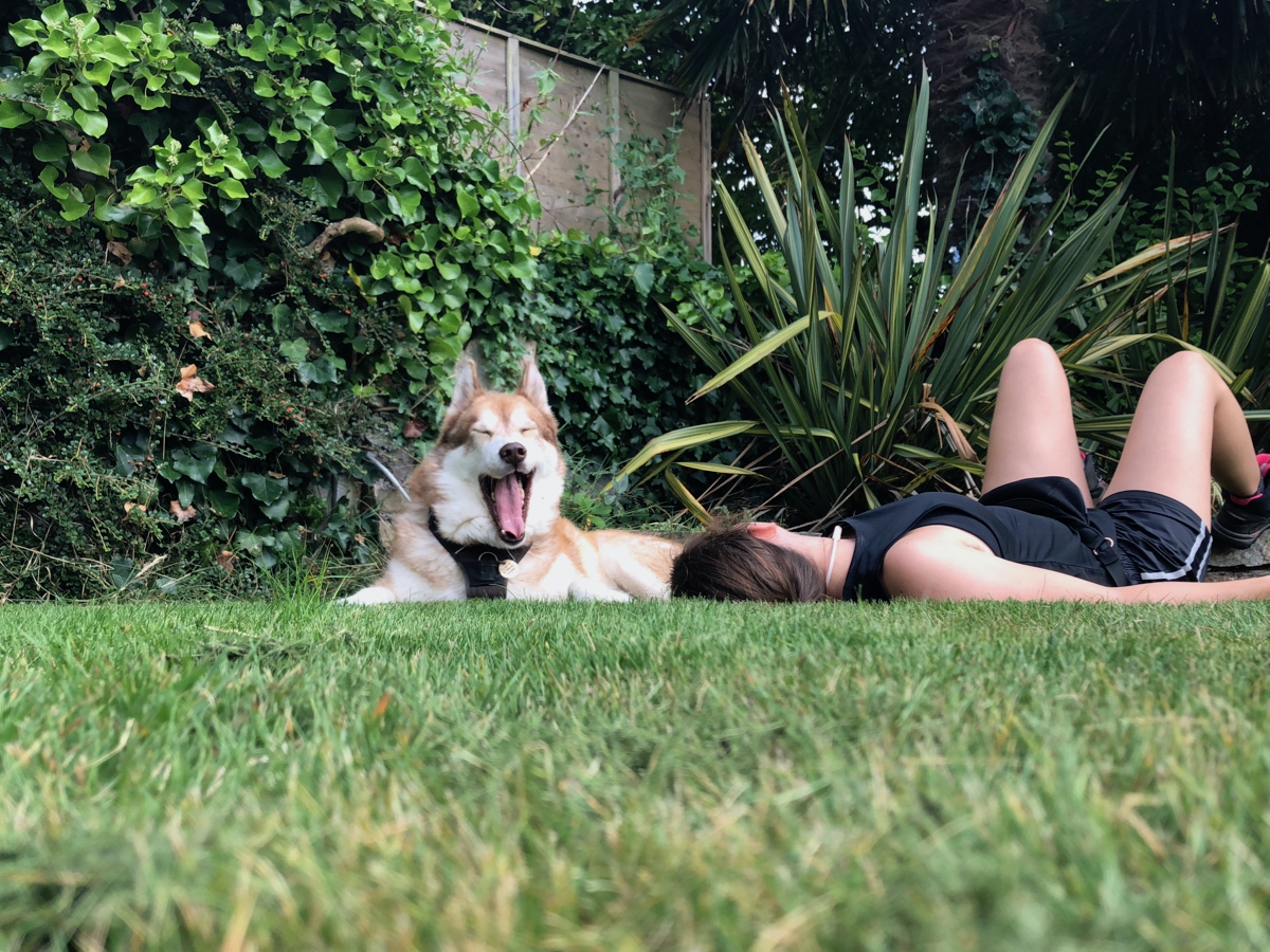 Me lying on my back on the grass next to Osky the huskamute who is yawning.