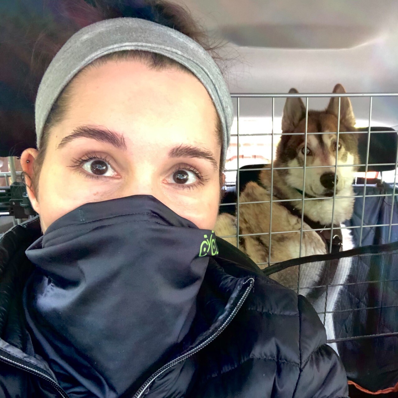 Me wearing a face mask sitting in the car driver’s seat while Osky sits in the back behind a dog guard looking at me.