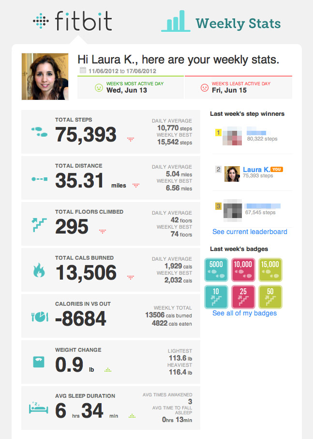 Fitbit picture with online stats