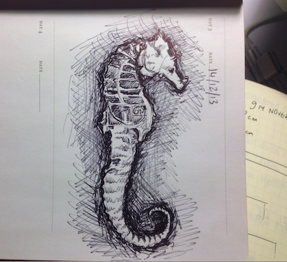 sketch of a Fringe-style seahorse