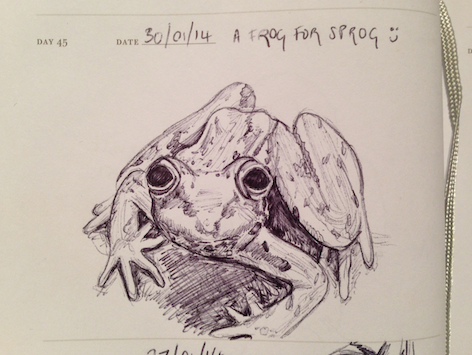 sketch of a frog