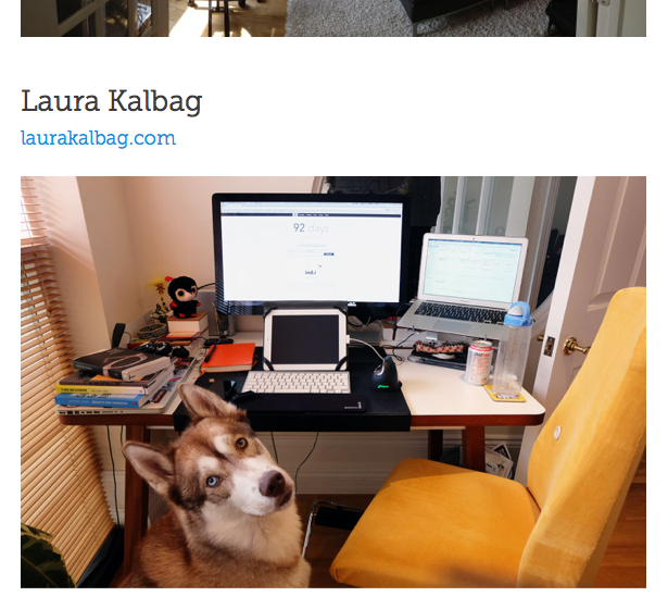 a photo of my desk, complete with a lot of junk and a dog in shot